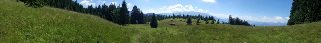 20160720_121927